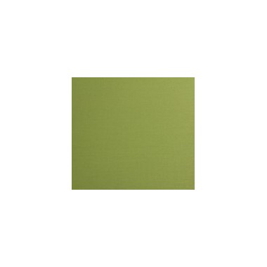 Paralume a parete semicilindrico  D.30 – Verde Oliva